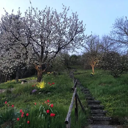 Schroederhof In Lägenhet